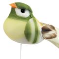 Floristik24 Veer vogel op draad decoratieve vogel met veren groen oranje 4cm 12st