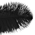 Floristik24 Decoratieve struisvogelveren zwarte veren 38-40cm 2st