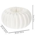 Honingraat papieren ring in de vorm van een pompoen, groot formaat, voor gedroogde bloemen en herfstdecoratie, 24 cm, 4 stuks | Floristik24.nl