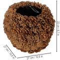 Decoratieve plantenpot met dennenappels, natuurlijke uitstraling, 27 cm. Ronde pot met dennenappels, naturel bruin, gemaakt van dennenappels, 27 cm x 22 cm. | Floristik24.nl