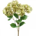 Floristik24 Hortensia boeket kunstgroen, bruin 5 bloemen 48cm