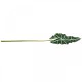 Floristik24 Kunstpijlenblad kunstplant alocasia deco groen 74cm