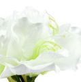 Floristik24 Amaryllis bloem wit L 73cm 2st