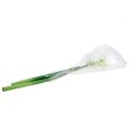 Floristik24 Amaryllis bloem wit L 73cm 2st