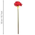 Kunstmatige rode amaryllisbloem met steel, bloemversiering voor Kerstmis, 50 cm | Floristik24.nl