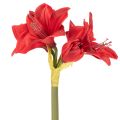 Kunstmatige rode amaryllisbloem met steel, bloemversiering voor Kerstmis, 50 cm | Floristik24.nl