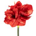 Floristik24 Kunstmatige amaryllisbloem, rood, lange steel, voor vaas en bloemstuk, 77 cm