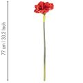Kunstmatige amaryllisbloem, rood, lange steel, voor vaas en bloemstuk, 77 cm | Floristik24.nl