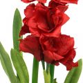 Floristik24 Amaryllis kunst rood 3 zijden bloemen op mosballen H64cm