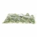 Floristik24 Sweetgum kegels groen frosted 250g