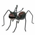 Floristik24 Ant metaal bruin, zwart 14,5cm