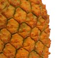 Floristik24 Ananas kunstmatig 21cm oranje