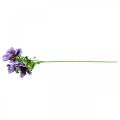 Floristik24 Kunstanemoon, zijden bloem, kunstplant met bloemen paars L55cm