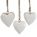 Floristik24 Hanger houten harten decoratieve harten wit Ø5-5,5cm 12st