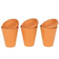 Floristik24 Aquasafe waterreservoir met insectendrinkbak voor tuin, balkon, terras, 12 cm, 3 stuks
