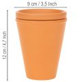 Aquasafe waterreservoir met insectendrinkbak voor tuin, balkon, terras, 12 cm, 3 stuks | Floristik24.nl