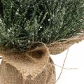 Floristik24 Mini kerstboom kunstmatig besneeuwd in een zak H41cm