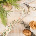 Decoratief lint met hulst en bessen, vormvaste rand, 25 mm, 18 m | Floristik24.nl