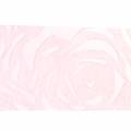 Floristik24 Decoratielint rozen breed roze 63mm 20m