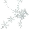 Floristik24 Satijnlint Kerstlint sneeuwvlok wit 25mm 5m