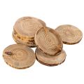 Floristik24 Natuurlijke ronde houten schijven voor decoratie en knutselwerk, 6 cm, 300 g