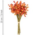 Tros oranje bessen, 20 cm lang | Floristik24.nl
