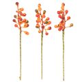 Tros oranje bessen, 20 cm lang | Floristik24.nl