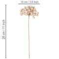 Kunstmatige bessenstruik, champagnekleurige decoratie, 28 cm, 3 stuks | Floristik24.nl