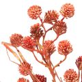 Kunstmatige bessenstruik, levensechte herfstdecoratie, 68 cm | Floristik24.nl