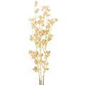 Floristik24 Decoratie met kunstmatige bessentakken, goudkleurig, 70 cm, 3 stuks