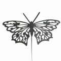 Floristik24 Bloemsteker metaal vlinder zwart 10,5×8/44cm 3st
