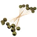 Klokvormige bloem op steel, groen, gedroogde exotische bloemen, 5 cm, 15 stuks | Floristik24.nl
