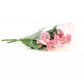 Floristik24 Bellis bos roze 24cm 2st