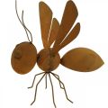 Floristik24 Decoratief figuur bij, metalen insect, tuindecoratie met patina L20cm H19cm