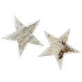 Floristik24 Berken sterren natuurlijke sneeuwkanonnen 9cm 15st