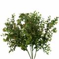 Floristik24 Buxus decoratieve tak groen 40cm