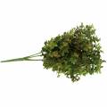 Floristik24 Buxus decoratieve tak groen 40cm