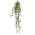 Floristik24 Hangende groene plant kunstblad hanger 5 strengen 58cm