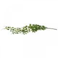 Floristik24 Hangende groene plant kunstblad hanger 5 strengen 58cm