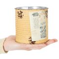 Decoratieve plantenpot van blik in abrikooskleur, metalen pot Ø11cm H10.5cm | Floristik24.nl