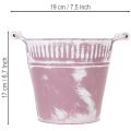 Blikken emmer, paars en wit geverfd, Ø19cm H17cm, 1 stuk. | Floristik24.nl