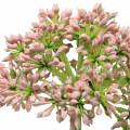 Floristik24 Allium kunstmatig Roze 55cm