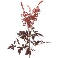 Floristik24 Kunstbloem Astilbe met lange steel, 80 cm