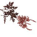 Kunstbloem Astilbe met lange