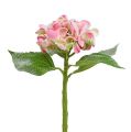 Floristik24 Hortensia roze gesneeuwd 33cm 4st