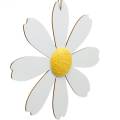 Floristik24 Houten bloesems, zomerdecoratie, madeliefjes geel en wit, decoratiebloemen om op te hangen 4st