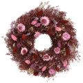 Floristik24 Bloemenkrans, krans van gedroogde bloemen, wijnrood, roze, Ø25cm