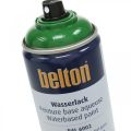 Floristik24 Belton vrije verf op waterbasis hoogglans kleurspray 400ml