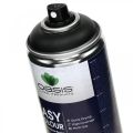 Floristik24 OASIS® Easy Color Spray, verfspray zwart 400ml