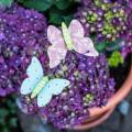Floristik24 Flower pin vlinder hout 18cm 12st